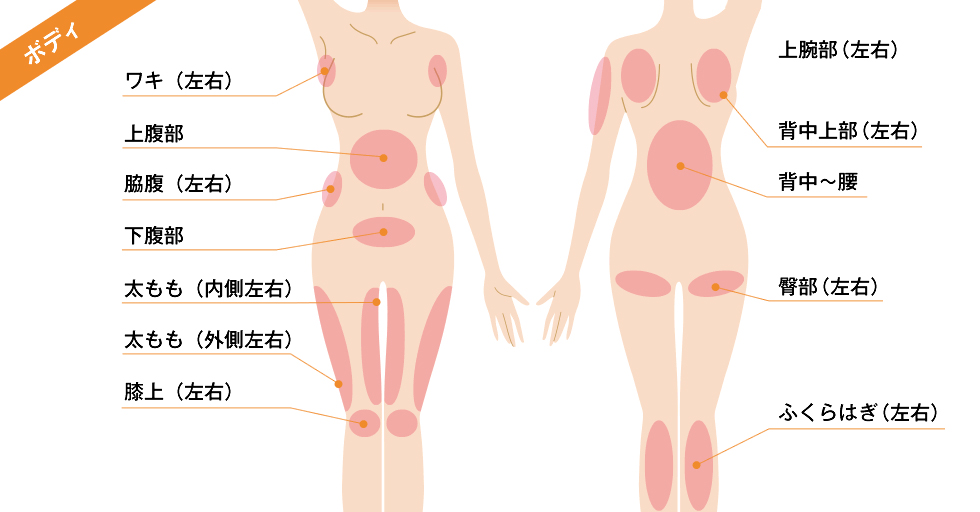 ボディ ワキ（左右） 上腹部 脇腹（左右） 下腹部 太もも（内側左右） 太もも（外側左右） 膝上（左右） 上腕部（左右） 背中上部（左右） 背中〜腰 臀部（左右） ふくらはぎ（左右）