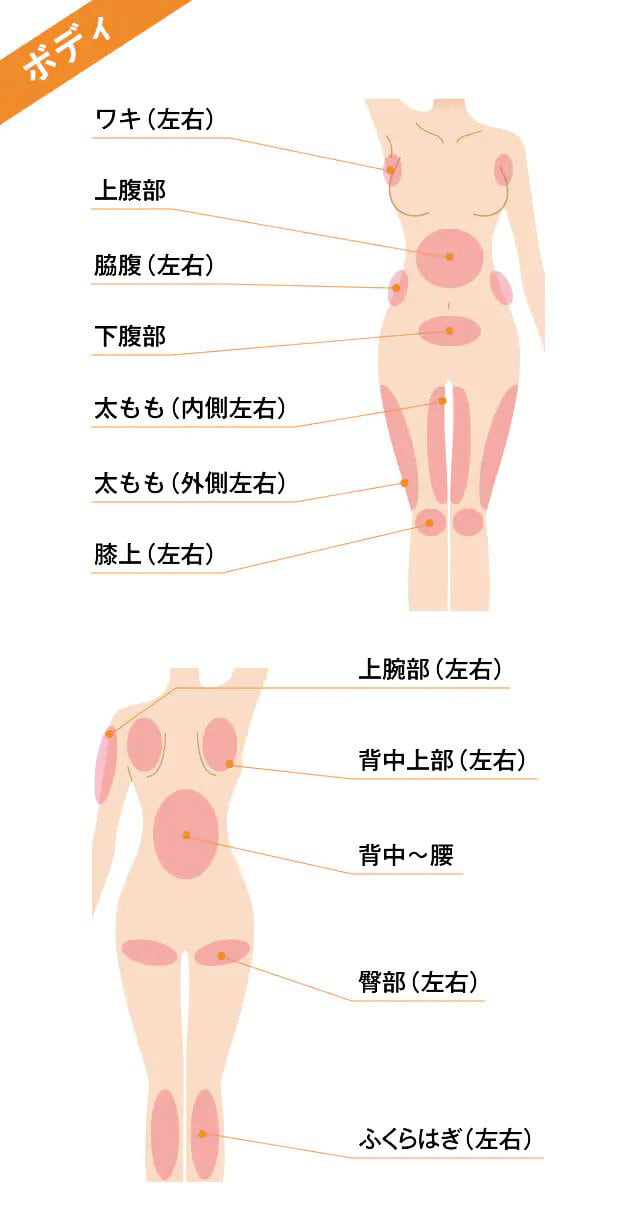 ボディ ワキ（左右） 上腹部 脇腹（左右） 下腹部 太もも（内側左右） 太もも（外側左右） 膝上（左右） 上腕部（左右） 背中上部（左右） 背中〜腰 臀部（左右） ふくらはぎ（左右）