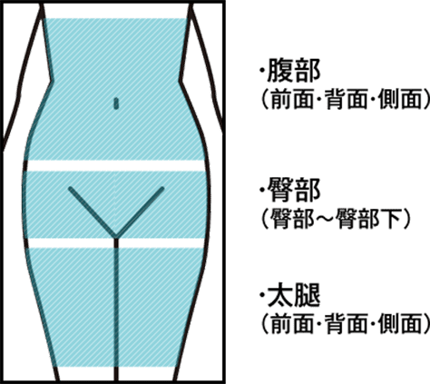 施術対象範囲：腹部（前面・背面・側面）、臀部（臀部〜臀部下）、太腿（前面・背面・側面）
